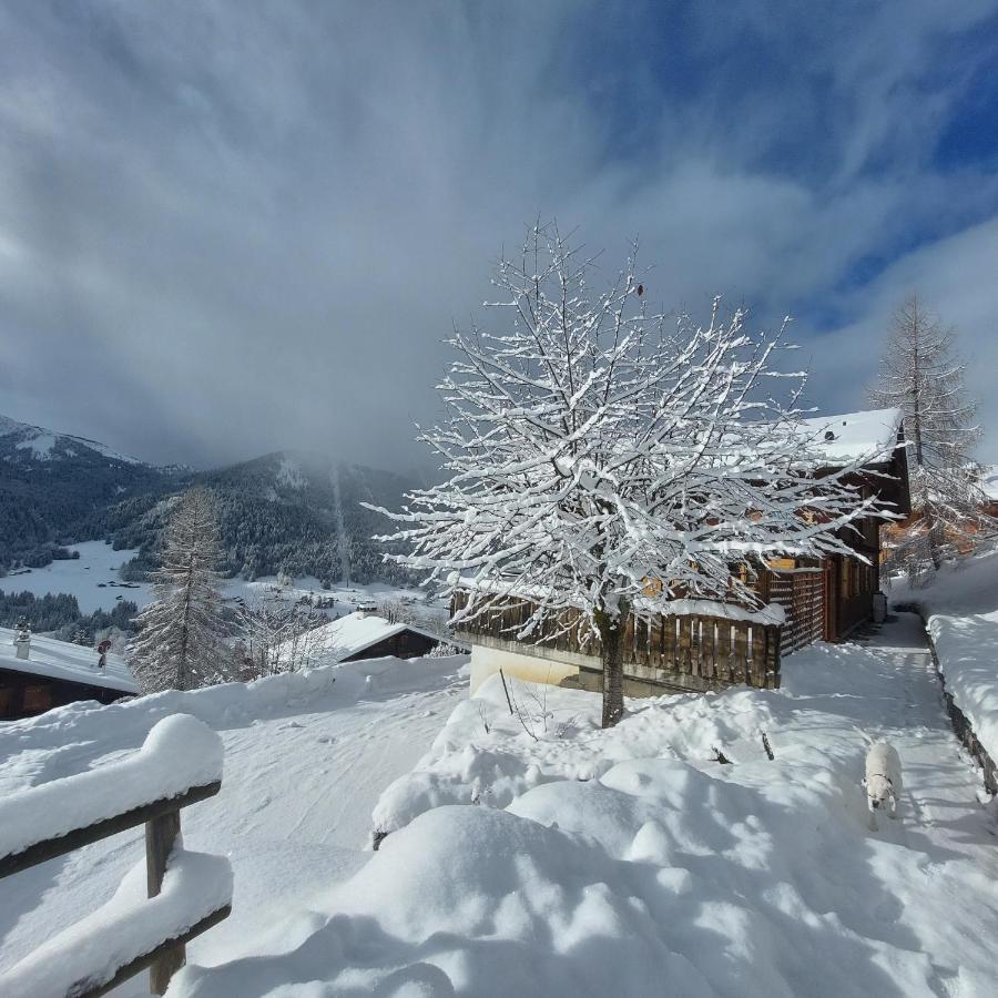 Chambre d'hôtes L'ours Bleu Les Diablerets Exterior foto