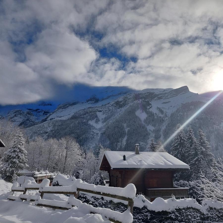 Chambre d'hôtes L'ours Bleu Les Diablerets Exterior foto